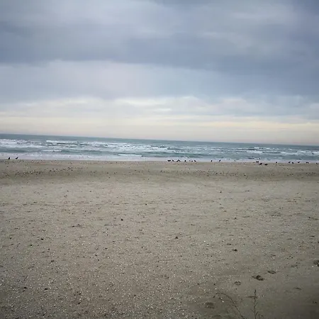 Tohanis Beach 3*