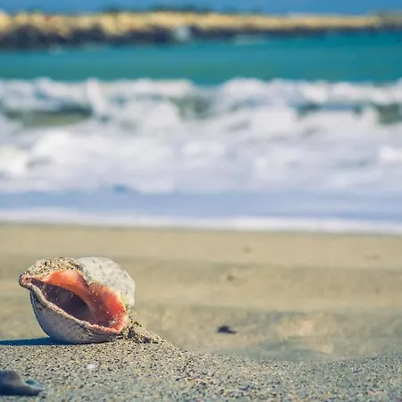 Hotel Tohanis Beach Constanta